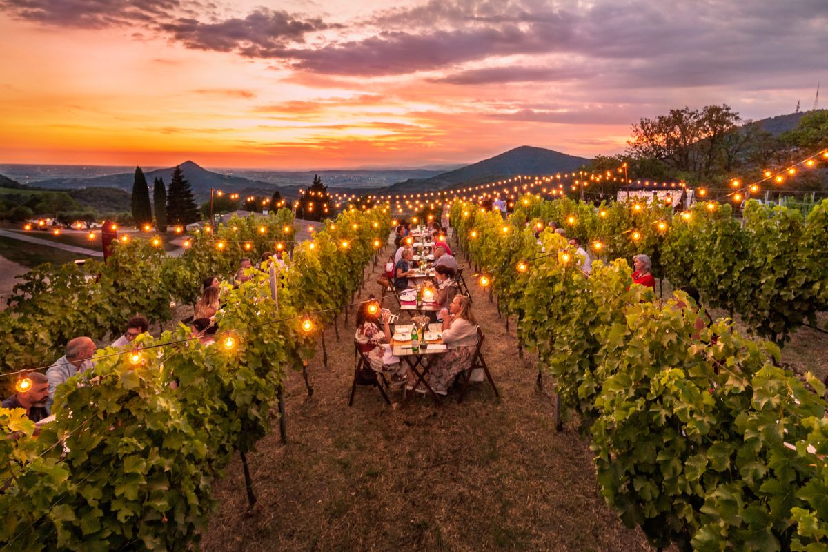 Regeneration Festival