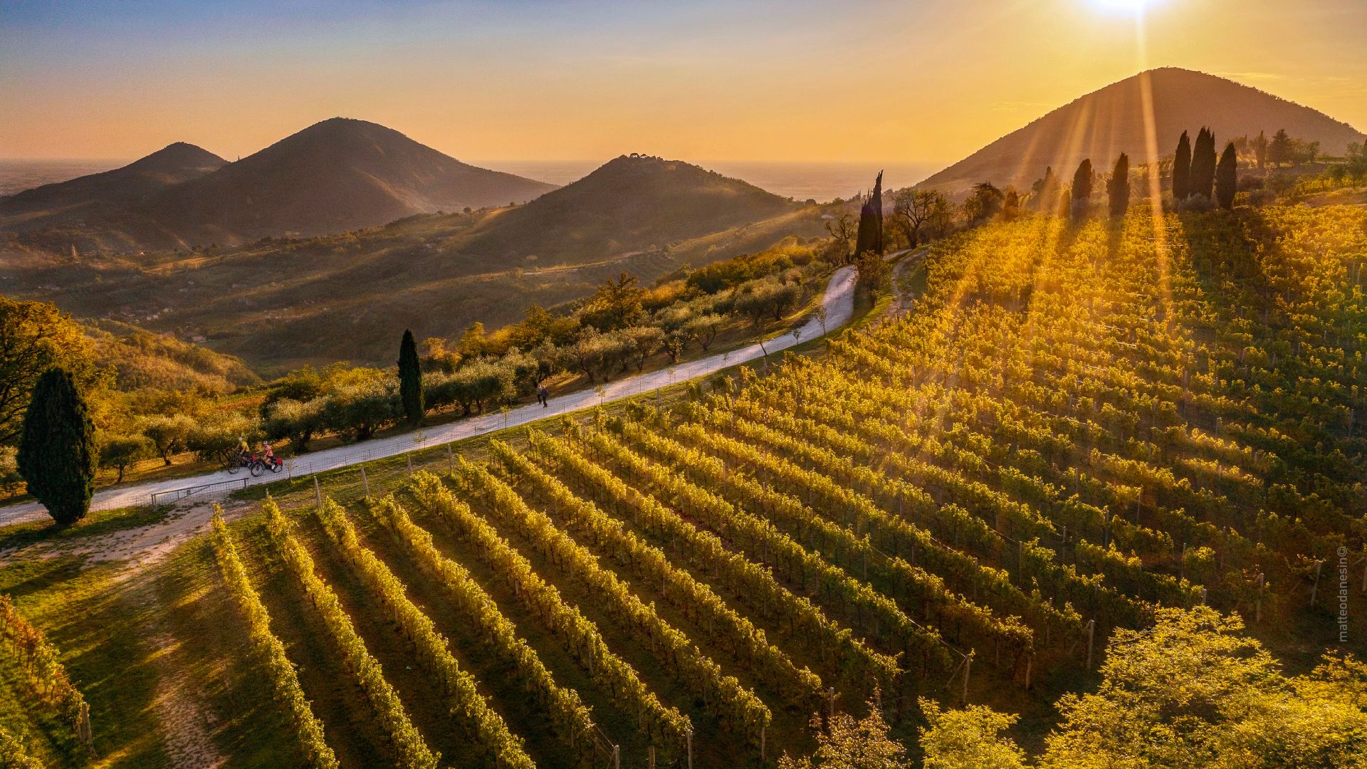 Regeneration Festival